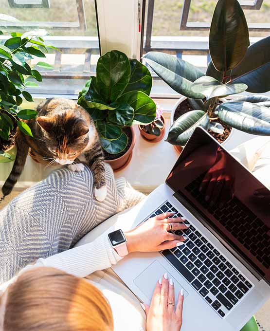 A person typing on a laptop while a cat watches